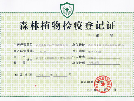 ɭ��ֲ��z�ߵ�ӛ�C