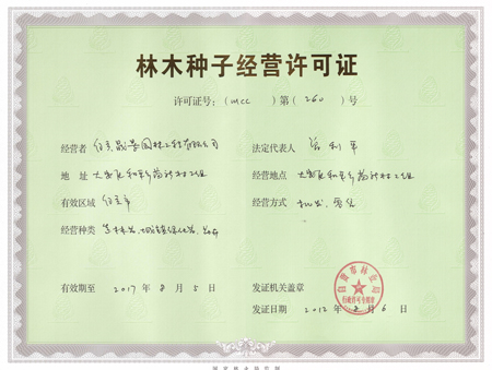 ��ľ�N�ӽ�(j��ng)�I(y��ng)�S���C