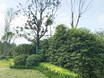 �Ĵ�ʡ��(n��i)���O(ji��n)�z