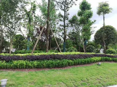 �Ĵ�ʡ��(n��i)���O(ji��n)�z