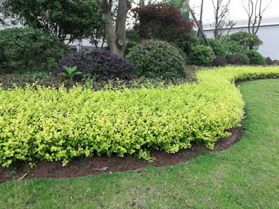 �Ĵ�ʡ��(n��i)���O(ji��n)�z