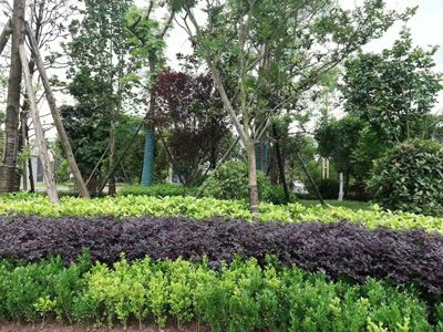 �Ĵ�ʡ�Ƚ��O(ji��n)�z