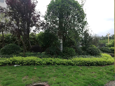 �Ĵ�ʡ�Ƚ��O(ji��n)�z