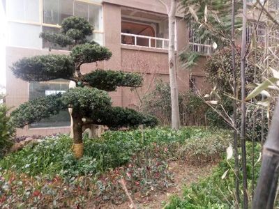 �s�h˽�һ��@