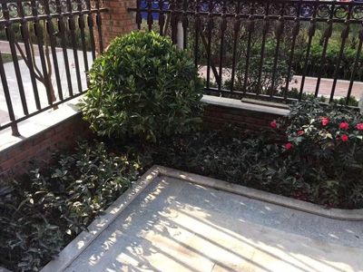 ����ɭ��˽�һ��@