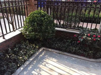 ����ɭ��˽�һ��@