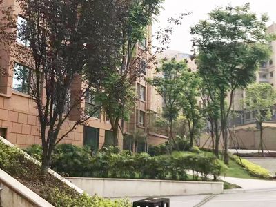 ��� ��������