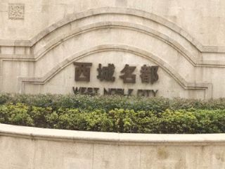 ��� ��������