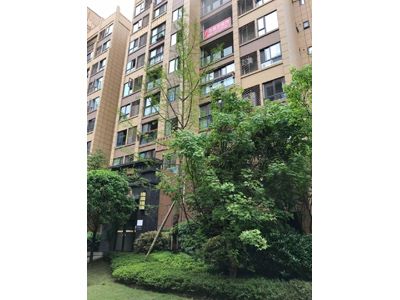 ��� ��������