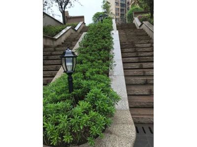 ��� ��������