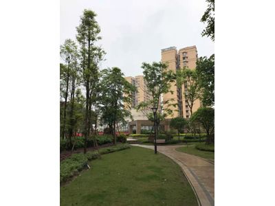 ��� ��������