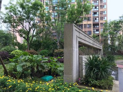 ��� ��������