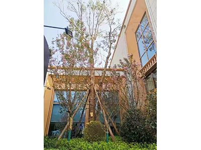 �Y����������