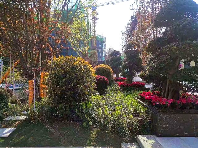 �Y����������