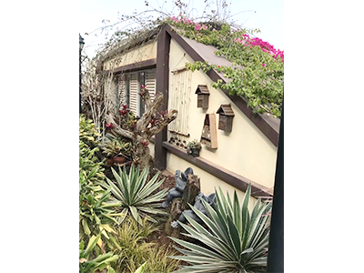 �ն����H���r(sh��)�➑ͥ