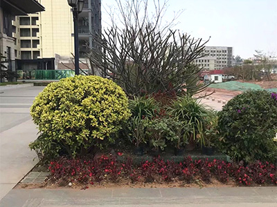 �ն����H���r(sh��)�➑ͥ