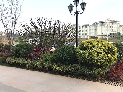 �ն����H���r(sh��)�➑ͥ