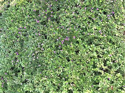 �ն����H���r(sh��)�➑ͥ