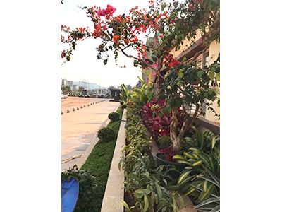 �ն����H���r�➑ͥ