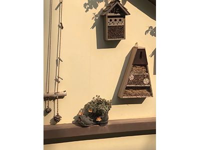 �ն����H���r(sh��)�➑ͥ