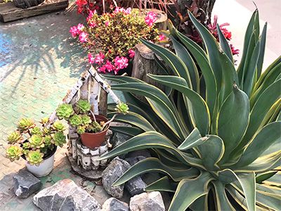 �ն����H���r(sh��)�➑ͥ