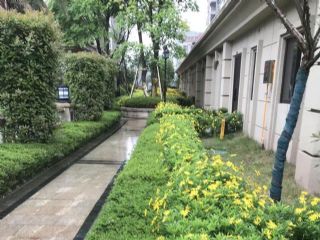 �����m���⾰�^���G��